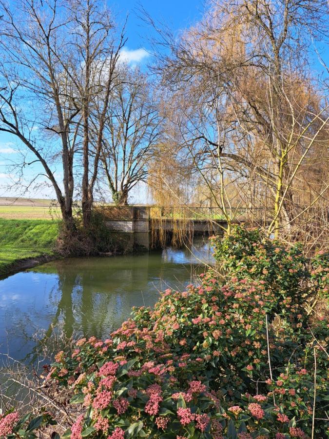 Le Moulin Etourneau - 3 Gites Avec 2 Piscines Champagnac  Экстерьер фото